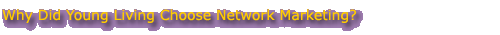 Best rated home based business