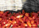 Goji berries 